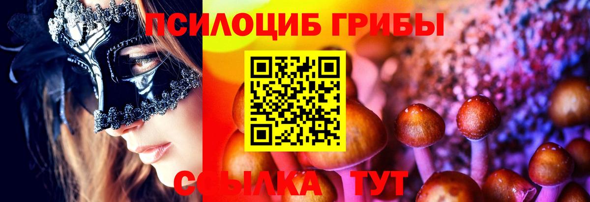 Псилоцибиновые грибы прущие грибы Михайловка